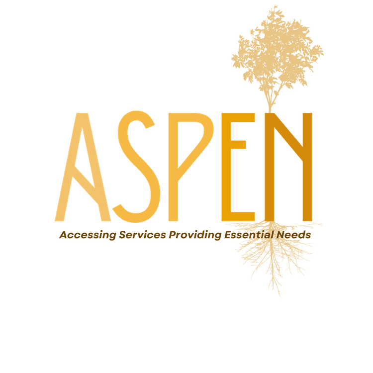 How Aspen Network turned an under-$50K county health MVP into a $500K grant